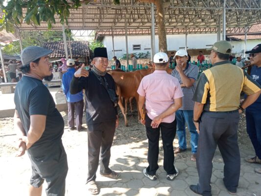 Kepala UPTD Pasar Diskop UKM dan Perindag Sumenep Subaidi SH Saat Meninjau Pasar Sapi di Kecamatan Lenteng, Minggu (26/07/2026)
