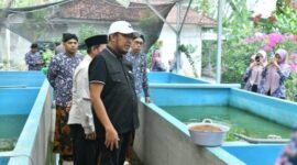 Bupati Sumenep Dr H Achmad Fauzi Wongsojudo SH MH Saat Meninjau Budidaya Ikan Lele di Desa Bataal Timur Kecamatan Ganding, Kamis (30/07/2026)
