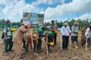 Komandan Yonif TP 931/KJ (Ksatria Jokotole) bersama Forkopimda Sumenep melaksanakan penanaman jagung dalam rangka mendukung program ketahanan pangan nasional. Sinergi TNI, Pemerintah, dan Masyarakat untuk Sumenep yang mandiri pangan. ©okedaily.com