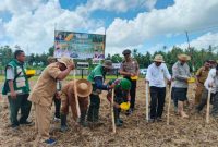 Komandan Yonif TP 931/KJ (Ksatria Jokotole) bersama Forkopimda Sumenep melaksanakan penanaman jagung dalam rangka mendukung program ketahanan pangan nasional. Sinergi TNI, Pemerintah, dan Masyarakat untuk Sumenep yang mandiri pangan. ©okedaily.com