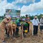 Komandan Yonif TP 931/KJ (Ksatria Jokotole) bersama Forkopimda Sumenep melaksanakan penanaman jagung dalam rangka mendukung program ketahanan pangan nasional. Sinergi TNI, Pemerintah, dan Masyarakat untuk Sumenep yang mandiri pangan. ©okedaily.com