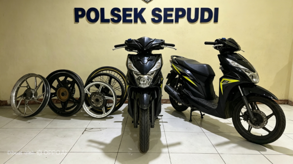 BB Yang Berhasil Diamankan Unit Reskrim Polsek Sepudi 