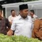 meninjau Kebun Hidroponik IRA Farm di Desa Ketawang Laok, Kecamatan Ganding