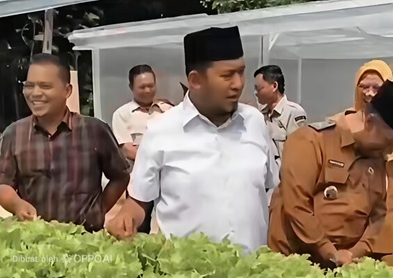 meninjau Kebun Hidroponik IRA Farm di Desa Ketawang Laok, Kecamatan Ganding