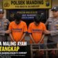 Ilustrasi Terduga Pencurian Ayam di Desa Giring Kecamatan Manding 