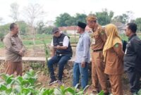 Bupati Fauzi Didampingi Kadis DKPP Chainur Rasyid, Kabag Humas dan Protokol Helmi dan Camat Guluk-guluk Mohammad Halil Rosih disela peninjauan, Selasa (28/07/2026)