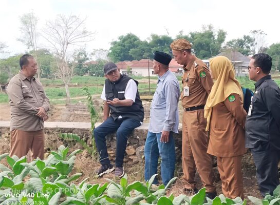 Bupati Fauzi Didampingi Kadis DKPP Chainur Rasyid, Kabag Humas dan Protokol Helmi dan Camat Guluk-guluk Mohammad Halil Rosih disela peninjauan, Selasa (28/07/2026)