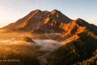 Gunung Argopuro 