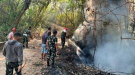Kebakaran Lahan Warga di Batuan Sumenep, 8 Prajurit Yonif TP 931/Kj Turun Padamkan Api. ®okedailyjatim