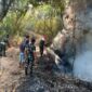 Kebakaran Lahan Warga di Batuan Sumenep, 8 Prajurit Yonif TP 931/Kj Turun Padamkan Api. ®okedailyjatim