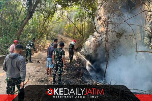 Kebakaran Lahan Warga di Batuan Sumenep, 8 Prajurit Yonif TP 931/Kj Turun Padamkan Api. ®okedailyjatim